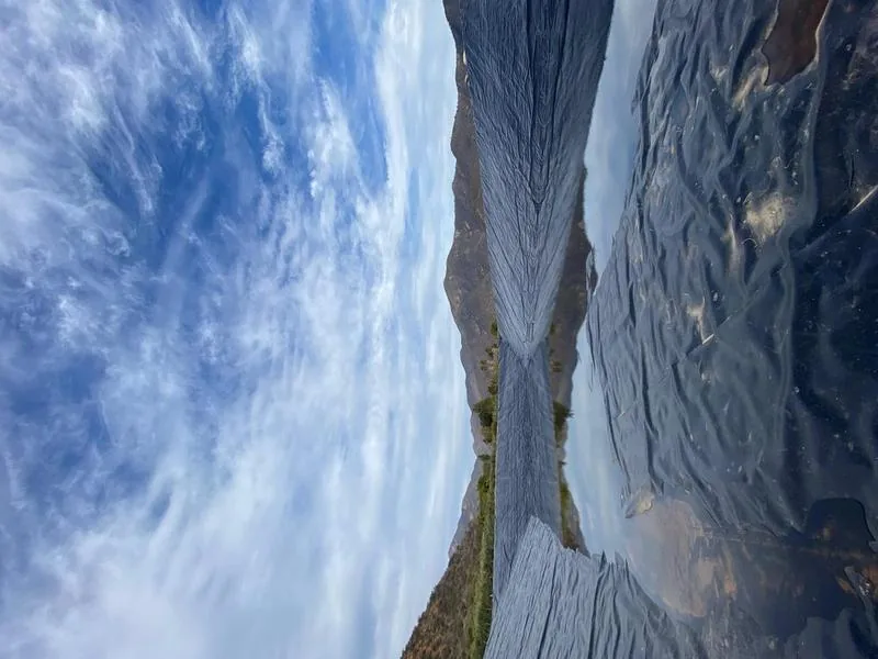 Tranque reflejo